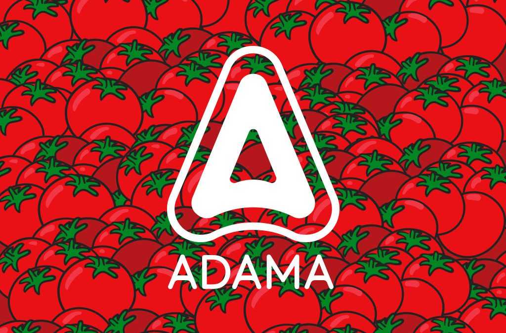 Adama – Mastercop