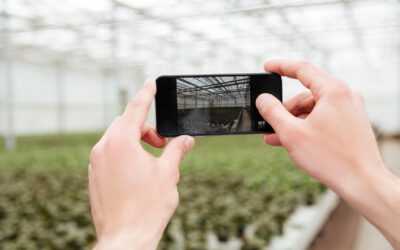 Cómo mejorar la presencia en redes sociales de empresas agrícolas